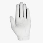 Weather spann golf glove